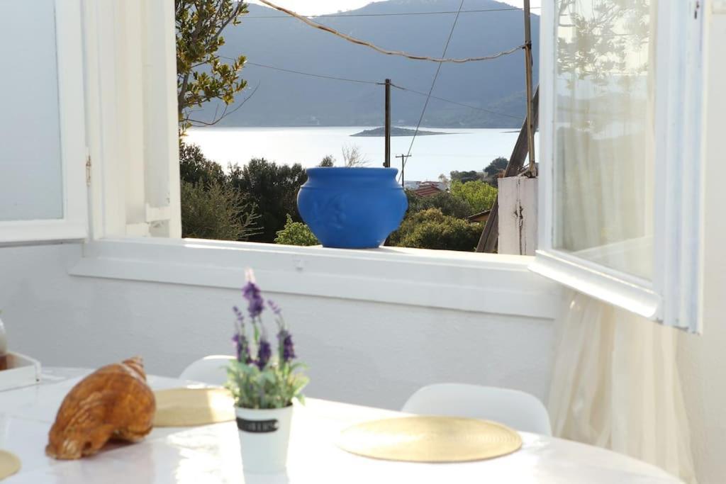 Almiropótamos White Villa In Olive Trees And Seaview To Panagia מראה חיצוני תמונה