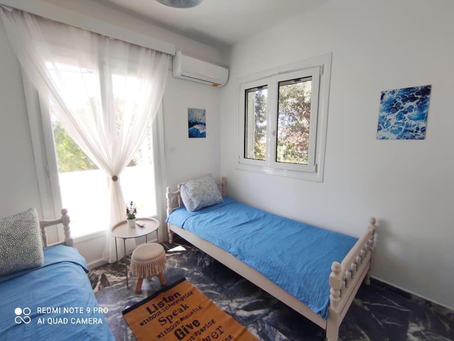 Almiropótamos White Villa In Olive Trees And Seaview To Panagia מראה חיצוני תמונה