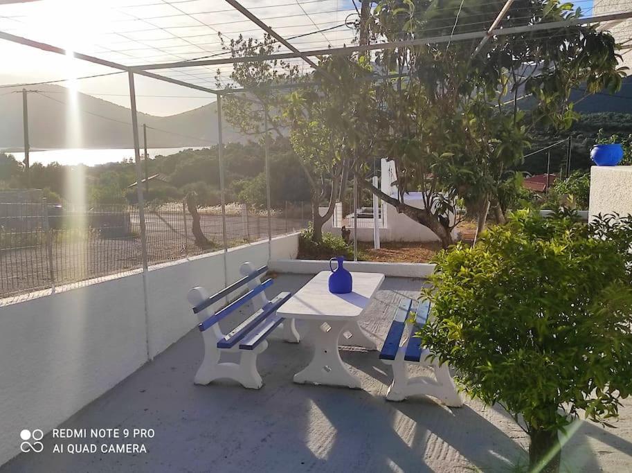 Almiropótamos White Villa In Olive Trees And Seaview To Panagia מראה חיצוני תמונה
