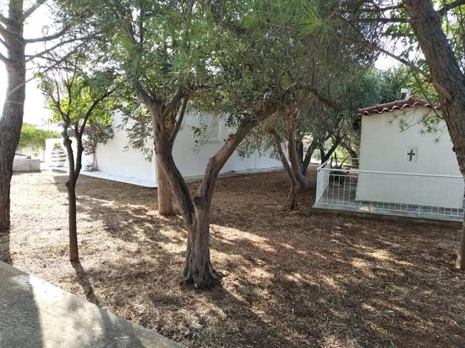 Almiropótamos White Villa In Olive Trees And Seaview To Panagia מראה חיצוני תמונה
