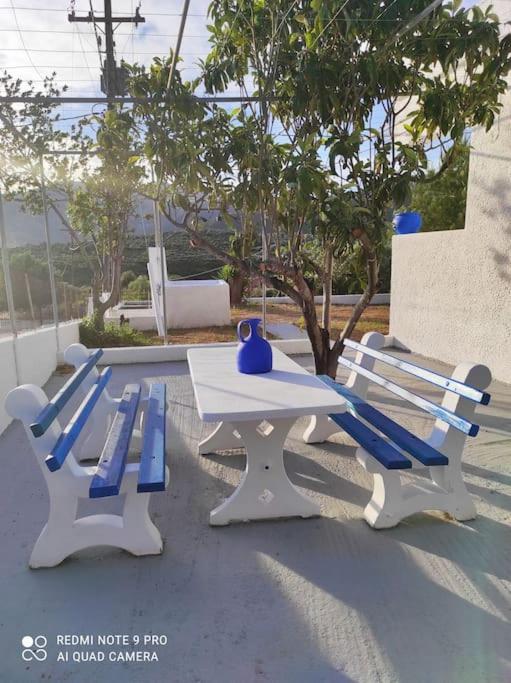 Almiropótamos White Villa In Olive Trees And Seaview To Panagia מראה חיצוני תמונה